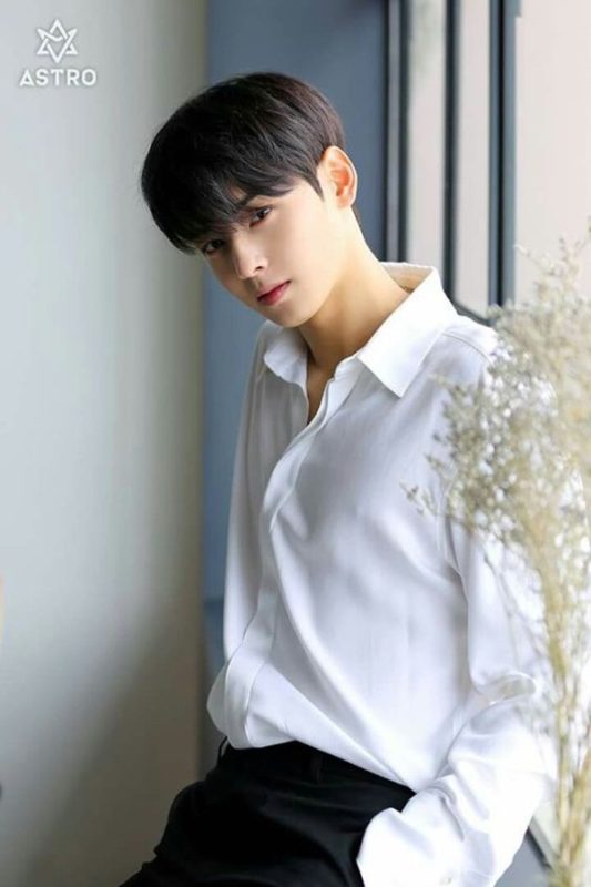 Cha Eun Woo My Id Is Gangnam Beauty Akeru