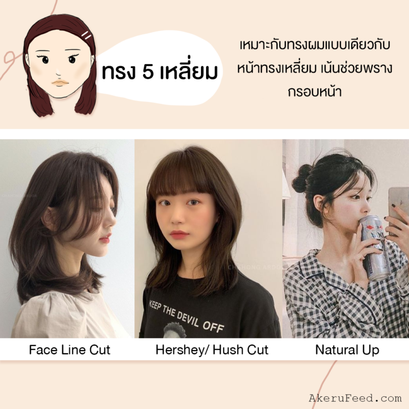 เปิดเคล็ดลับ! เลือกทรงผมให้เหมาะกับรูปหน้า จากช่างผมเกาหลี – Akeru